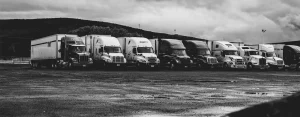 best movers company in Dubai