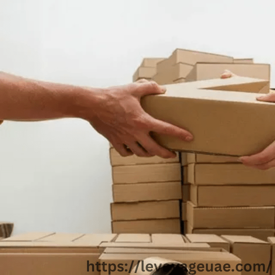 Best Movers and Packers in Business Bay