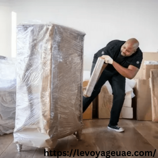 Movers and Packers in JVC Dubai
