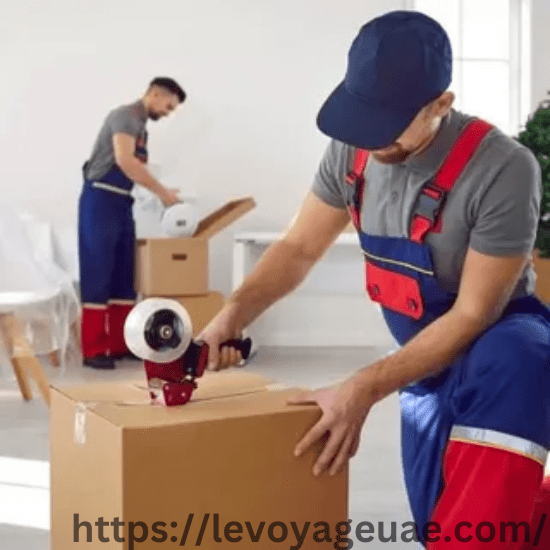 Movers and Packers Business Bay Dubai