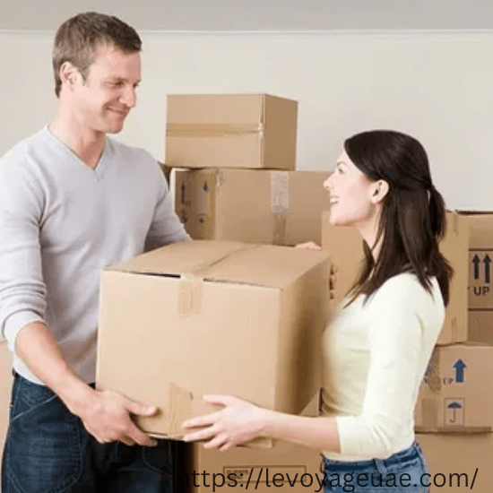 Villa Movers and Packers