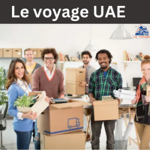 Office shifting in Damac Hills